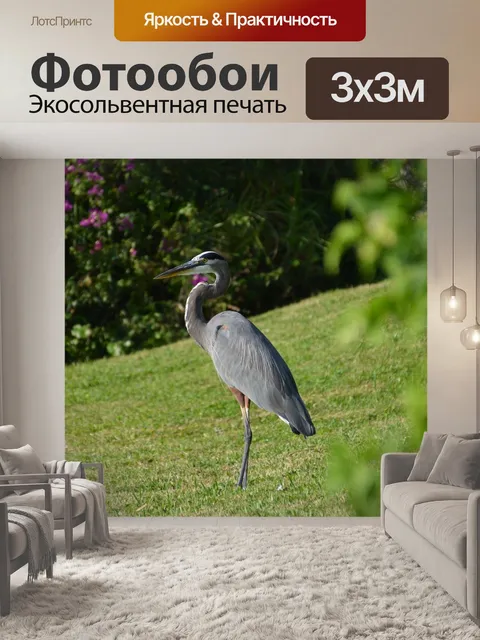 Фотообои Птица