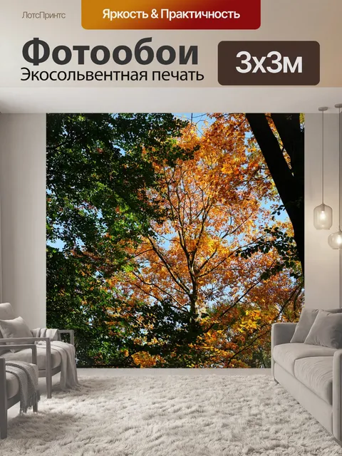 Фотообои Деревья