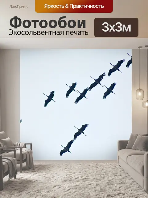Фотообои Перелетные птицы