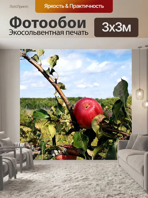 Фотообои Дикие яблоки 2