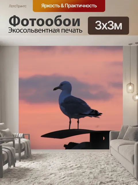 Фотообои Чайка и закат