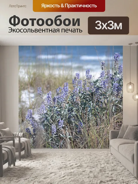 Фотообои Флорида