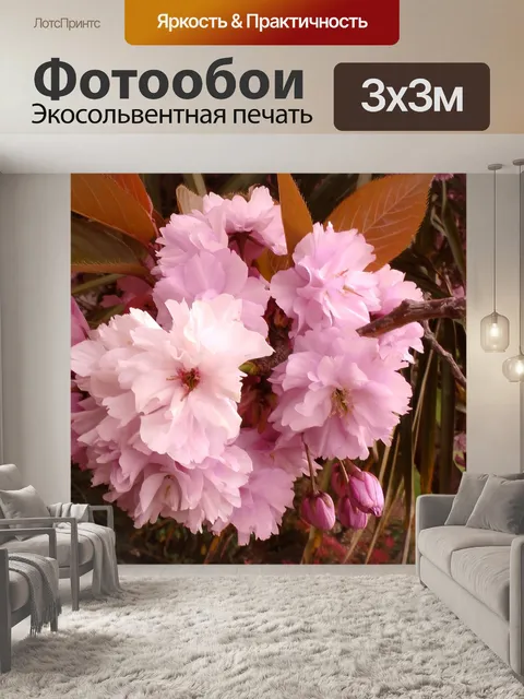 Фотообои Cherry Blossom Tree