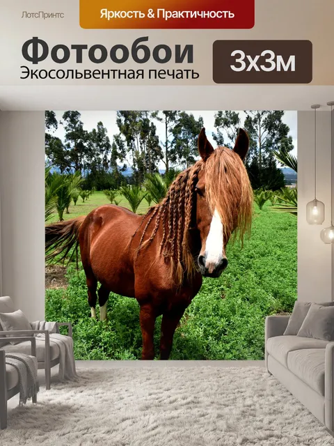 Фотообои Лошади