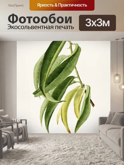 Фотообои Листья листва филиал акварель