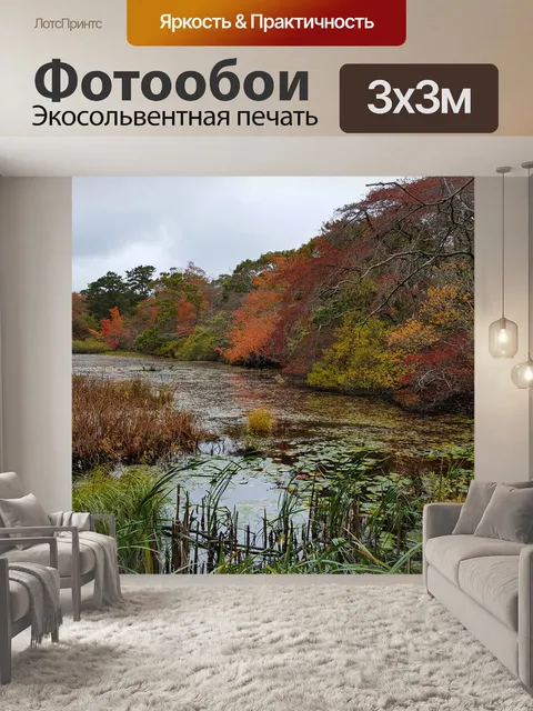 Фотообои Лес