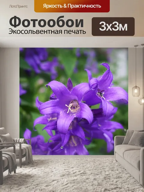 Фотообои Цветы