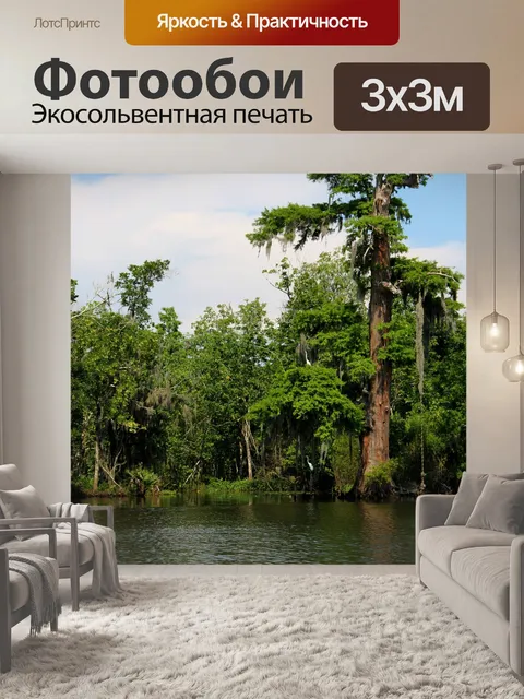 Фотообои Болото