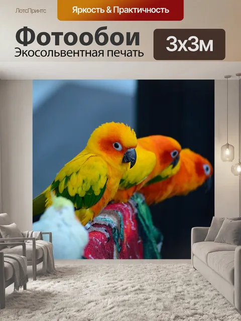 Фотообои Попугай