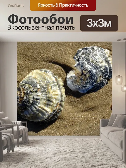 Фотообои Морские раковины на берегу моря