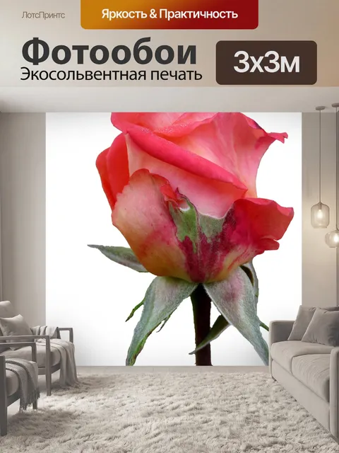 Фотообои Осень