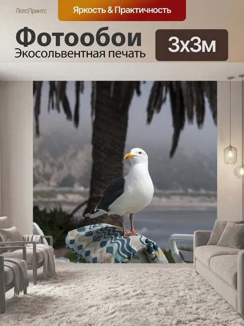 Фотообои Чайка на шезлонге