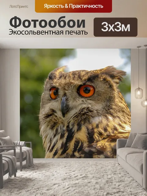 Фотообои Филин