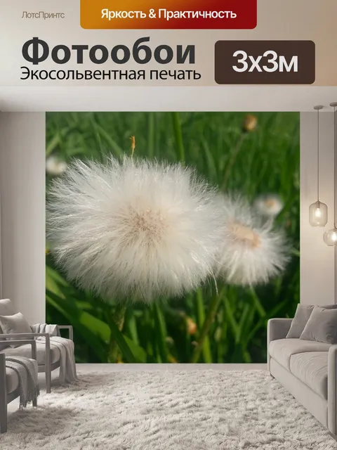 Фотообои Пушистые одуванчики