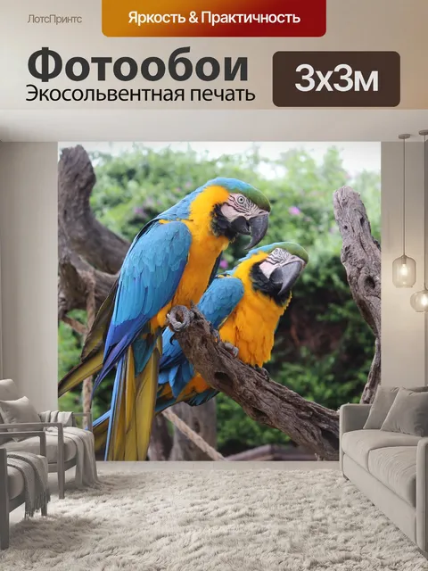 Фотообои Птицы