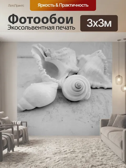 Фотообои Белые раковины на мраморе