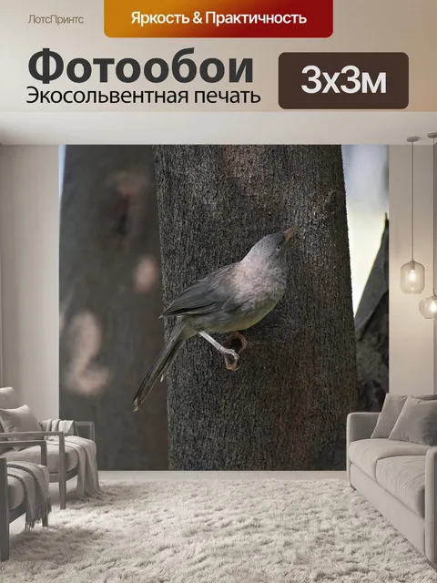 Фотообои Птица