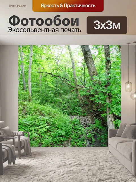 Фотообои В лесу 2