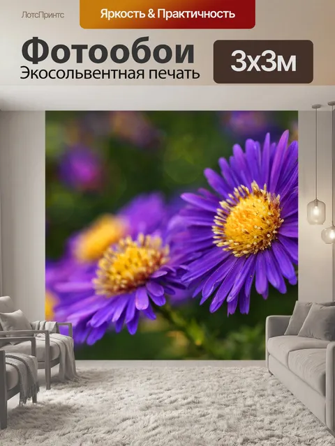 Фотообои Блоссом цветник природа