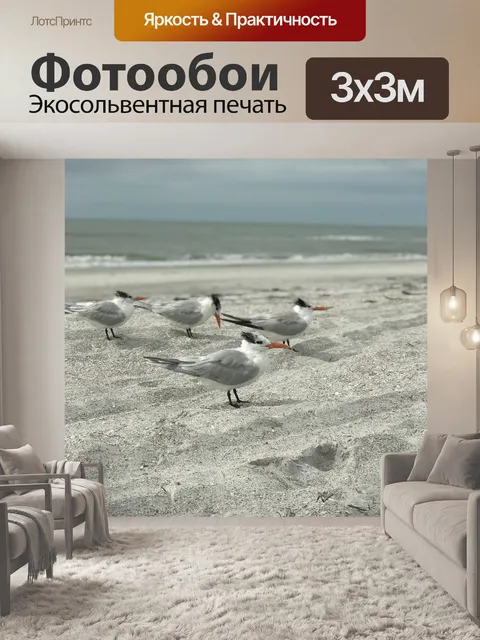 Фотообои Чайки