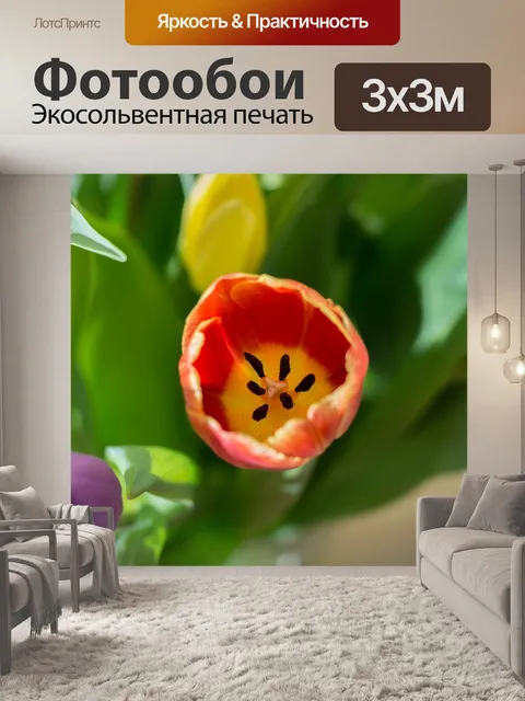 Фотообои Тюльпаны