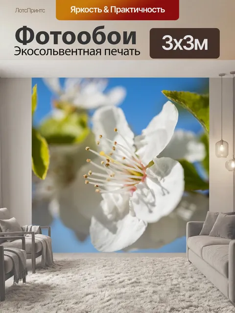 Фотообои Природа