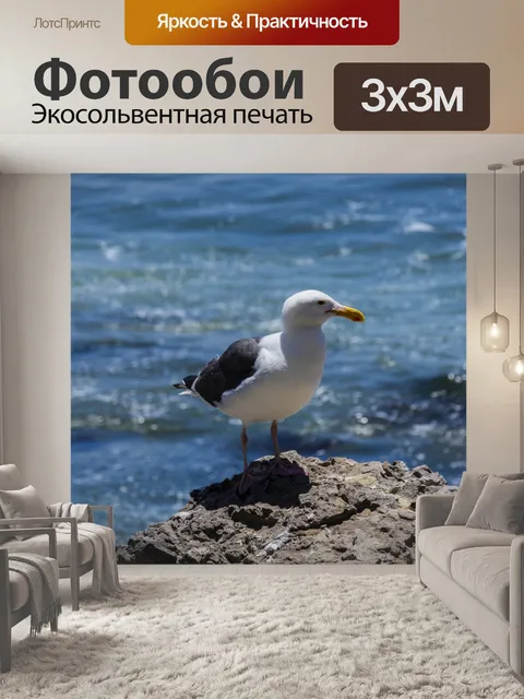 Фотообои Чайка на море