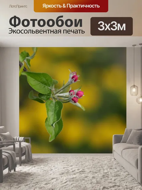 Фотообои Флора