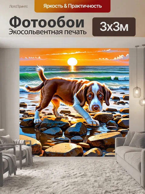 Фотообои щенок кокер-спаниеля, копающийся в камнях на берегу моря, с оранжевым закатом на фоне