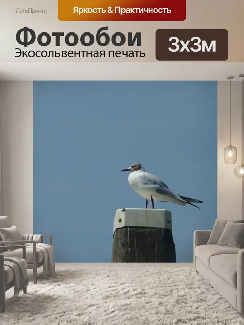 Фотообои Птица