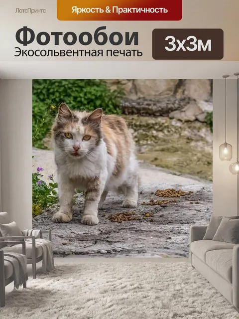 Фотообои Кошка