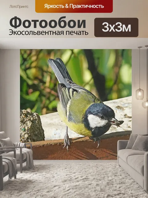 Фотообои Природа