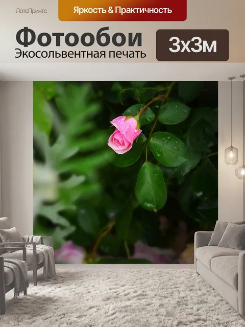 Фотообои Природа