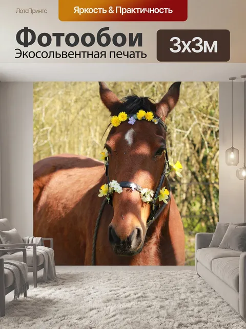 Фотообои Лошадь