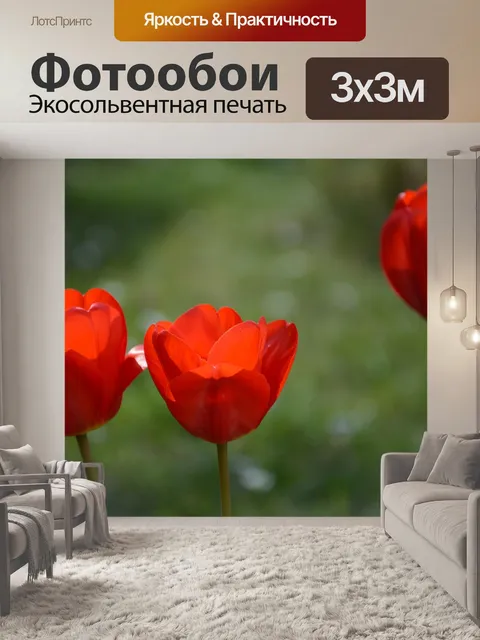 Фотообои Тюльпан