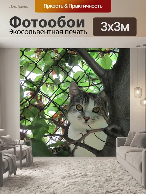 Фотообои Кот