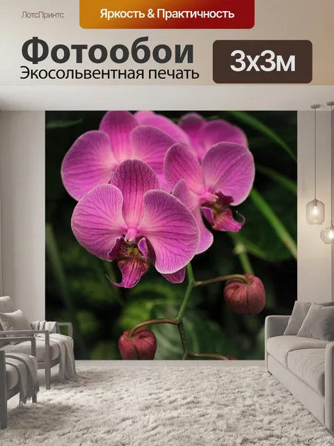 Фотообои Пинг большой цветок орхидеи в Сингапуре