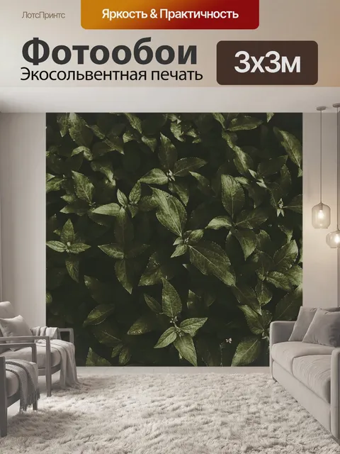 Фотообои Тёмно зелёная