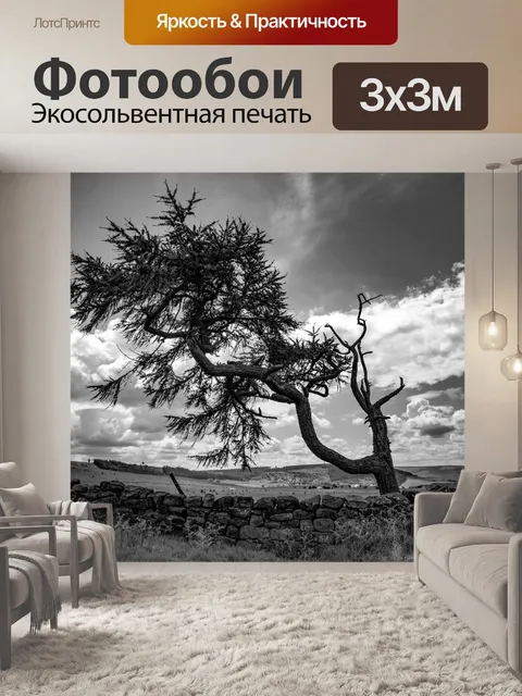 Фотообои Только дерево