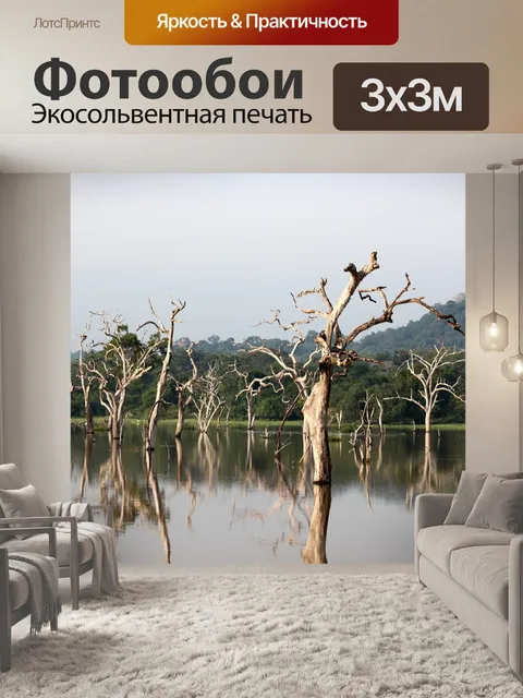 Фотообои Деревья