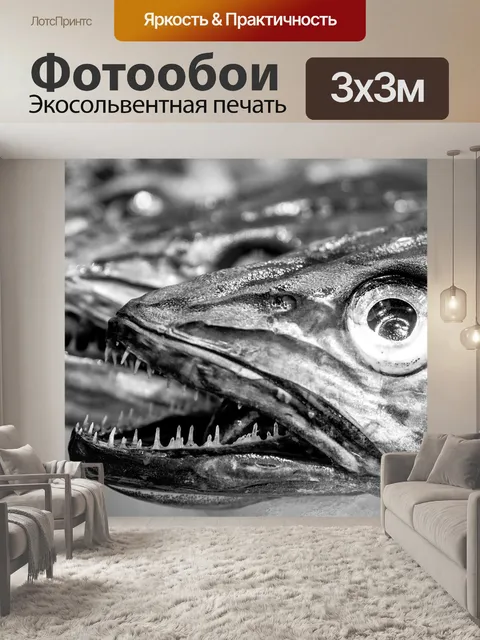 Фотообои Рыбы