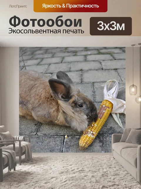 Фотообои Кролики
