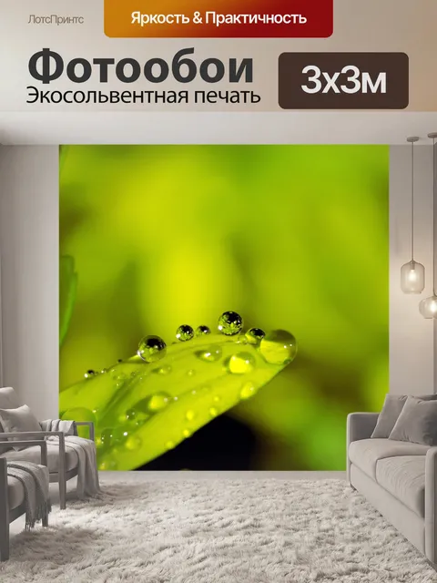 Фотообои Роса на листе