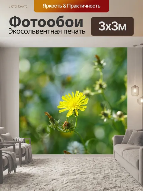 Фотообои Цветы