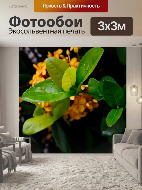 Фотообои Листы