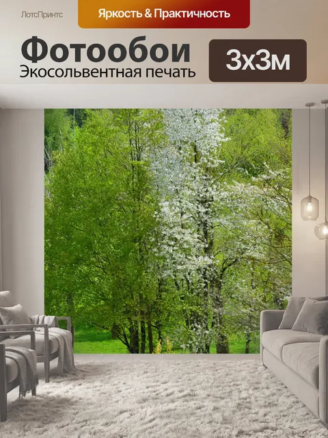 Фотообои Деревья