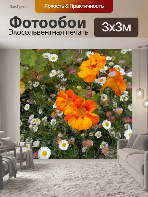 Фотообои Настурции и морские маргаритки