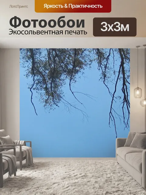 Фотообои веточки на фоне неба