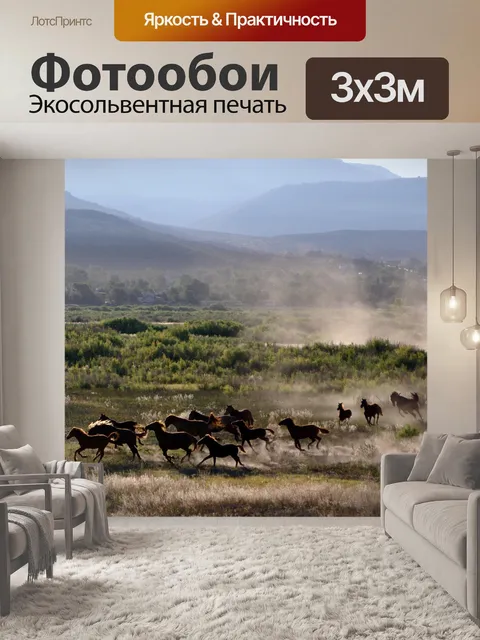 Фотообои Лошади
