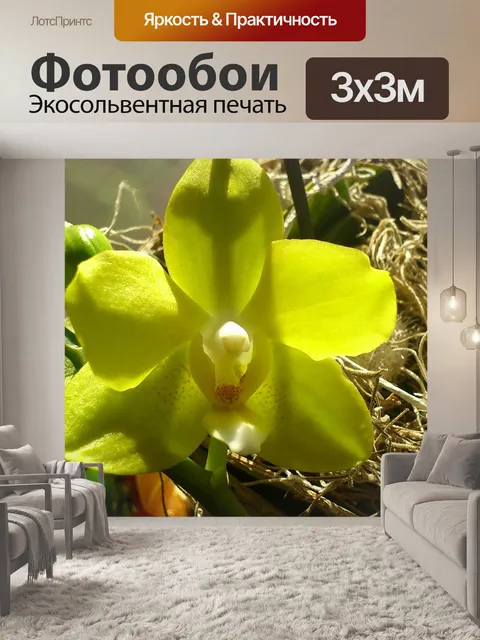 Фотообои Желтый